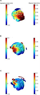 Entrainment and Spike-Timing Dependent Plasticity – A Review of Proposed Mechanisms of Transcranial Alternating Current Stimulation